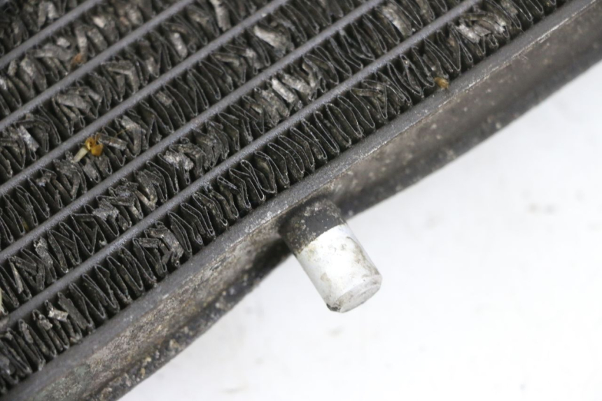 photo de RADIADOR YAMAHA X-MAX XMAX 125 (2010 - 2013) - Peça verificada