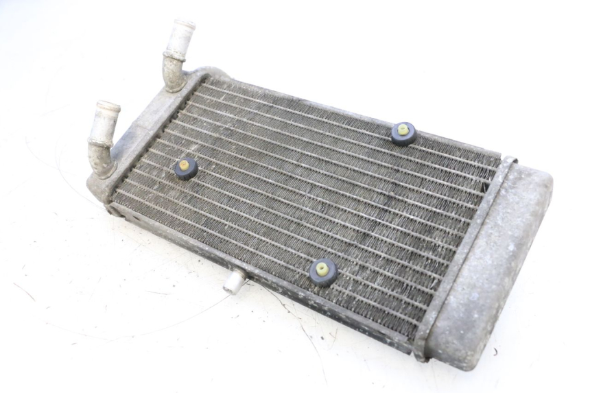 photo de RADIADOR YAMAHA X-MAX XMAX 125 (2010 - 2013) - Detalhe da peça