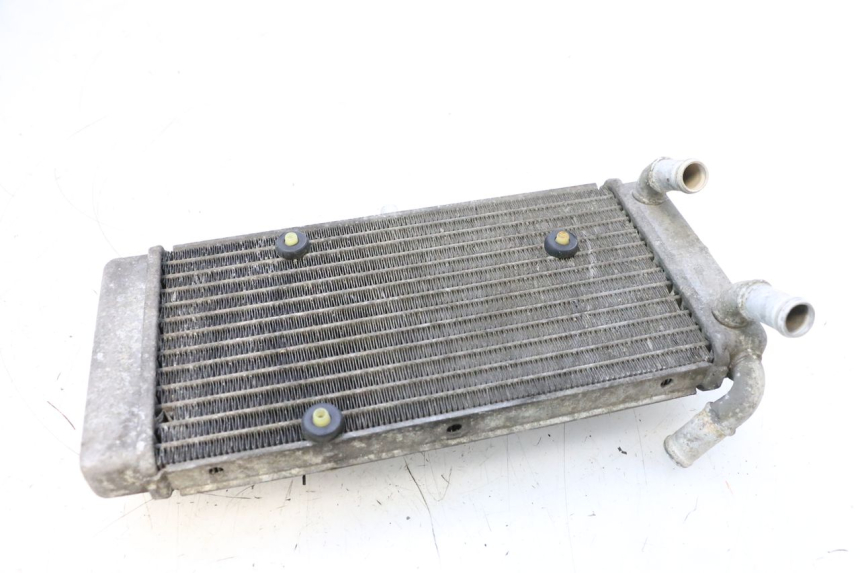 photo de RADIADOR YAMAHA X-MAX XMAX 125 (2010 - 2013) - Zoom do estado de desgaste
