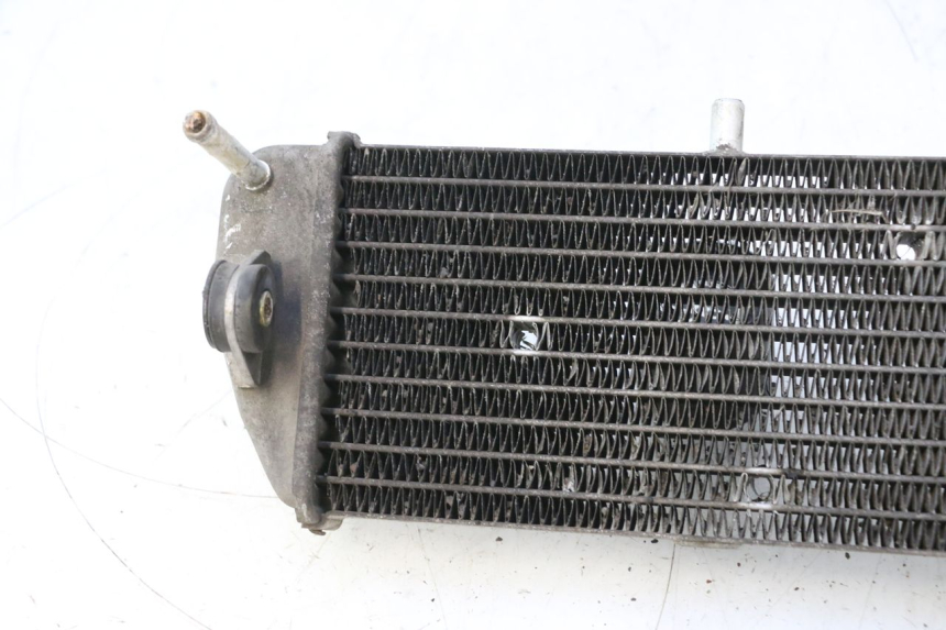 photo de RADIADOR YAMAHA XMAX X-MAX 125 (2006 - 2009) - Zoom do estado de desgaste