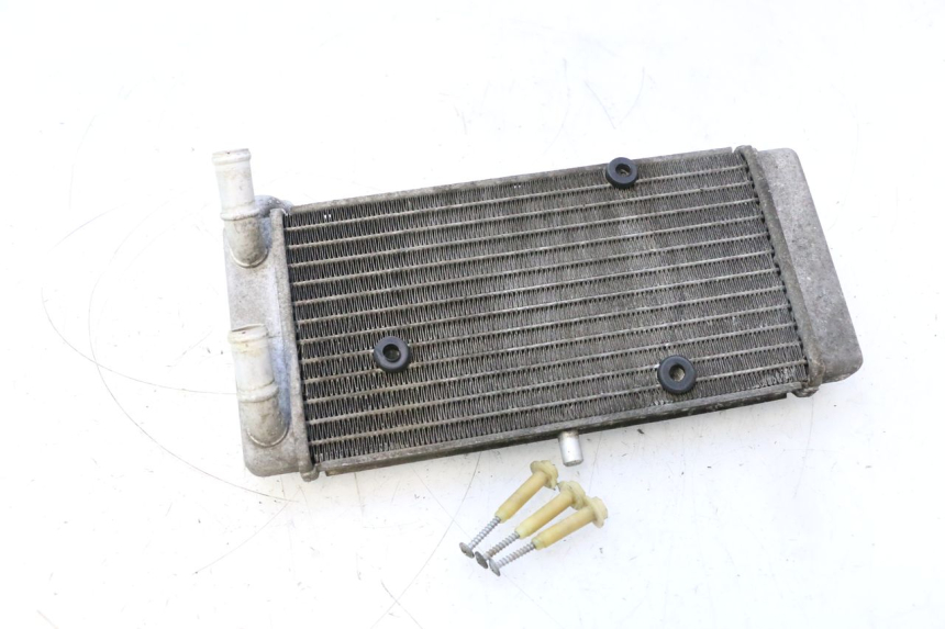photo de RADIADOR YAMAHA X-MAX XMAX 125 (2010 - 2013) - Peça verificada