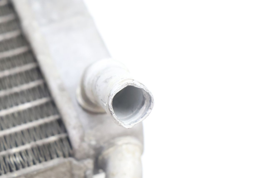 photo de RADIADOR YAMAHA X-MAX XMAX 125 (2010 - 2013) - Zoom do estado de desgaste