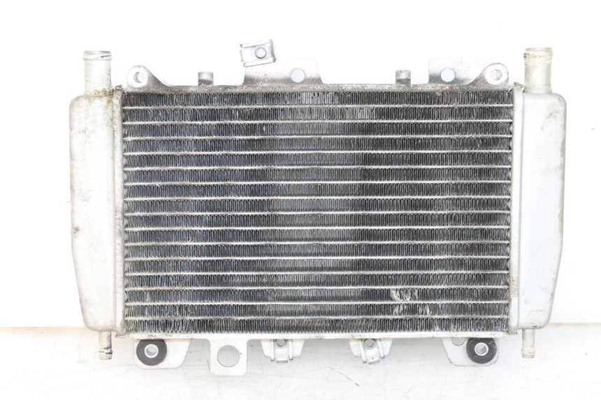photo de RADIADOR PIAGGIO X10 125 (2012 - 2017) - Vista principal