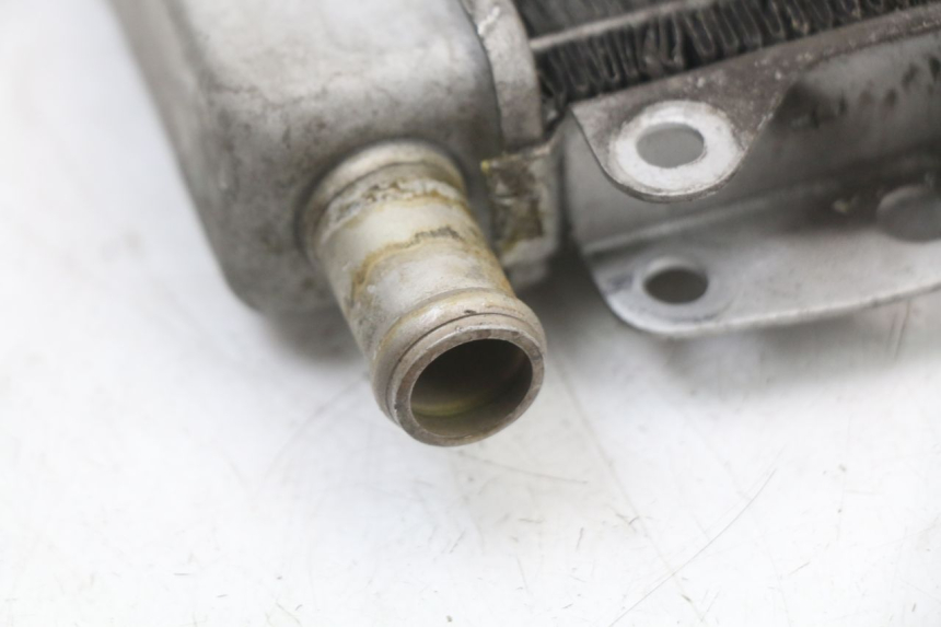 photo de RADIADOR PIAGGIO X10 125 (2012 - 2017) - Ampliação técnica