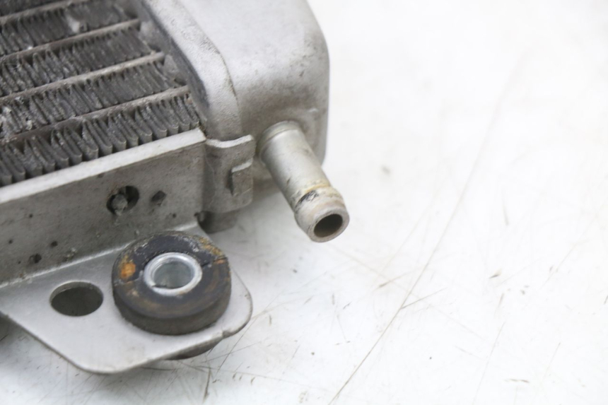 photo de RADIADOR PIAGGIO X10 125 (2012 - 2017) - Peça verificada