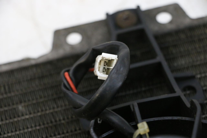 photo de RADIADOR PIAGGIO X8 125 (2004 - 2007) - Detalhe da peça