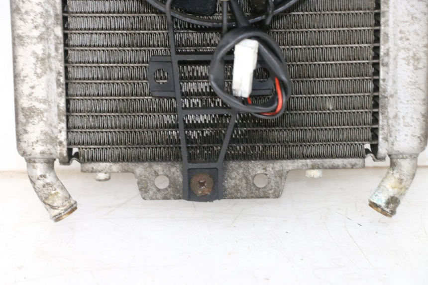 photo de RADIADOR PIAGGIO X8 125 (2004 - 2007) - Vista do produto