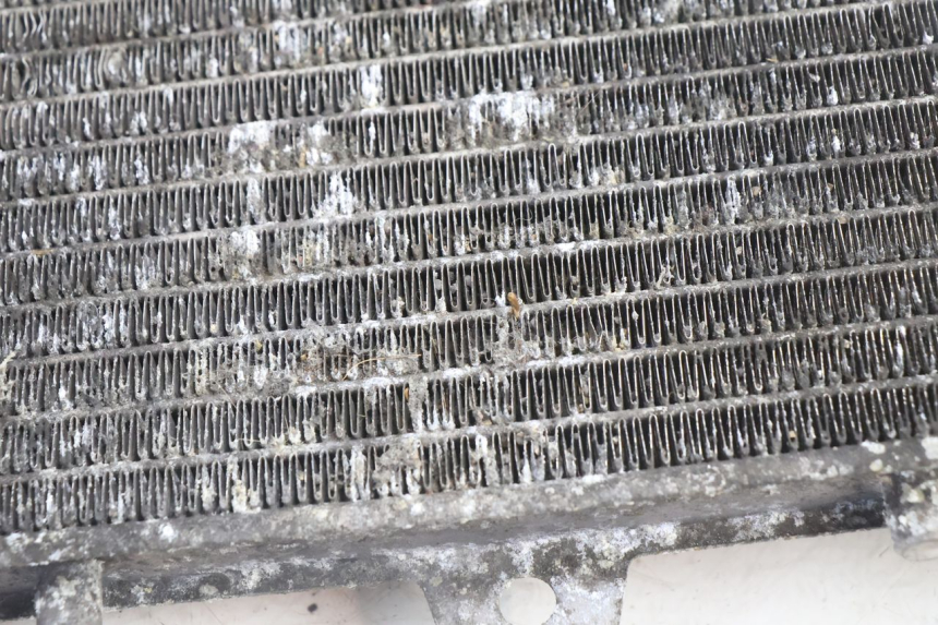 photo de RADIADOR PIAGGIO X9 AMALFI 180 (2000 - 2003) - Pontos de fixação