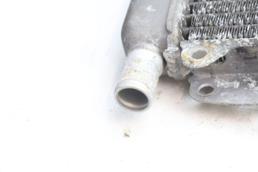 photo de RADIADOR PIAGGIO X9 AMALFI 180 (2000 - 2003) - Peça verificada