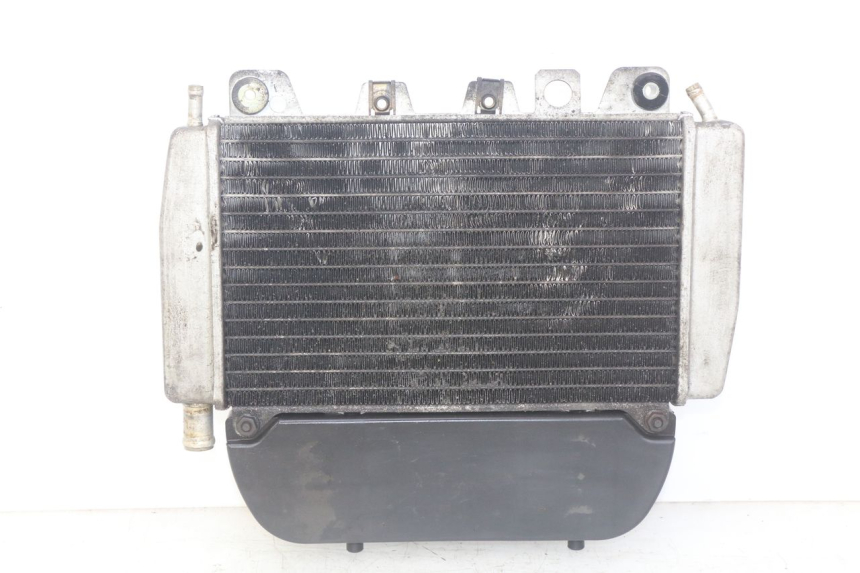photo de RADIADOR PIAGGIO X9 EVOLUTION 250 (2003 - 2007) - Vista principal