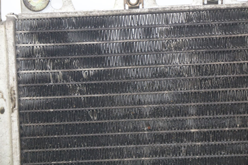 photo de RADIADOR PIAGGIO X9 EVOLUTION 250 (2003 - 2007) - Detalhes característicos