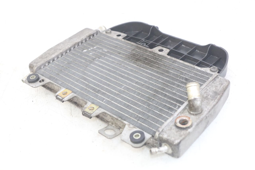 photo de RADIADOR PIAGGIO X9 EVOLUTION 250 (2003 - 2007) - Ampliação técnica