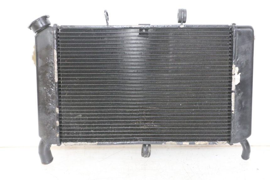 photo de RADIADOR YAMAHA XJ6 ABS 600 (2008 - 2016) - Vista principal