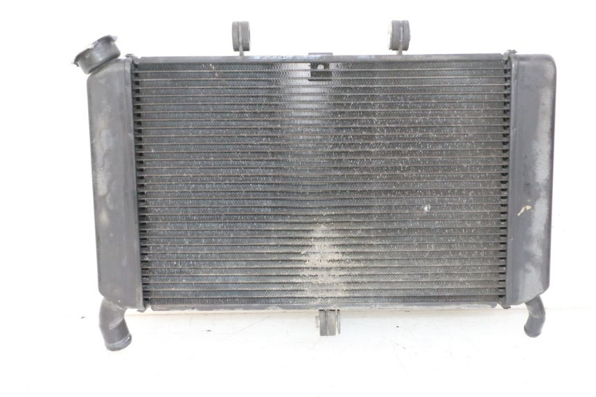 photo de RADIADOR YAMAHA XJ6 ABS 600 (2008 - 2016) - Vista principal