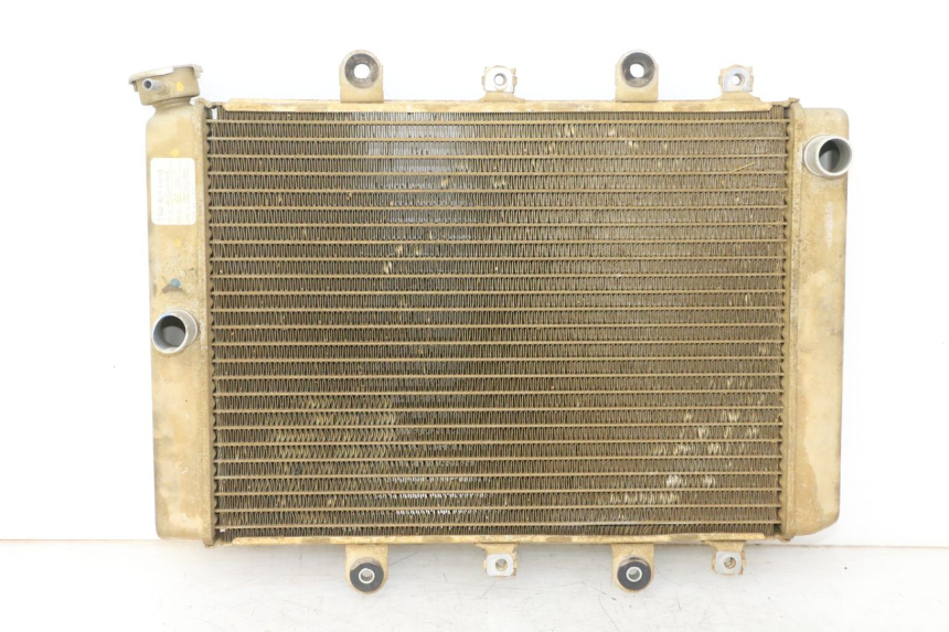 photo de RADIADOR YAMAHA YFM GRIZZLY 550 (2008 - 2015) - Vista principal