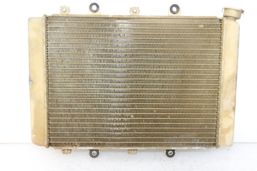 photo de RADIADOR YAMAHA YFM GRIZZLY 550 (2008 - 2015) - Vista do produto