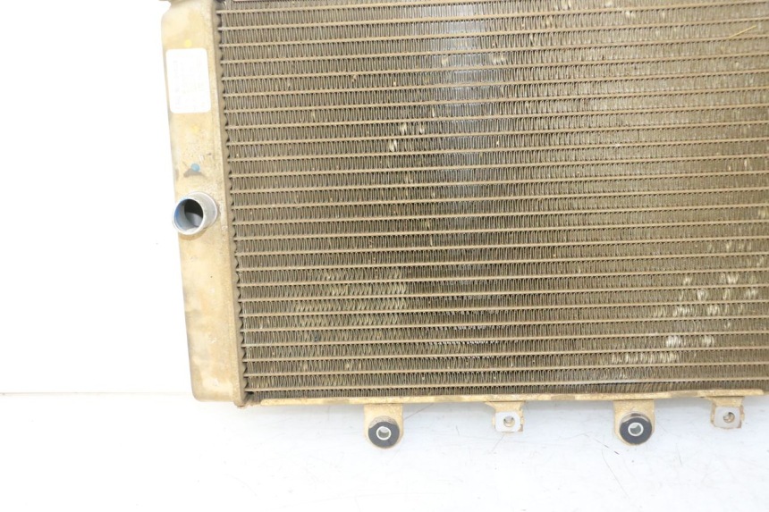 photo de RADIADOR YAMAHA YFM GRIZZLY 550 (2008 - 2015) - Detalhes característicos