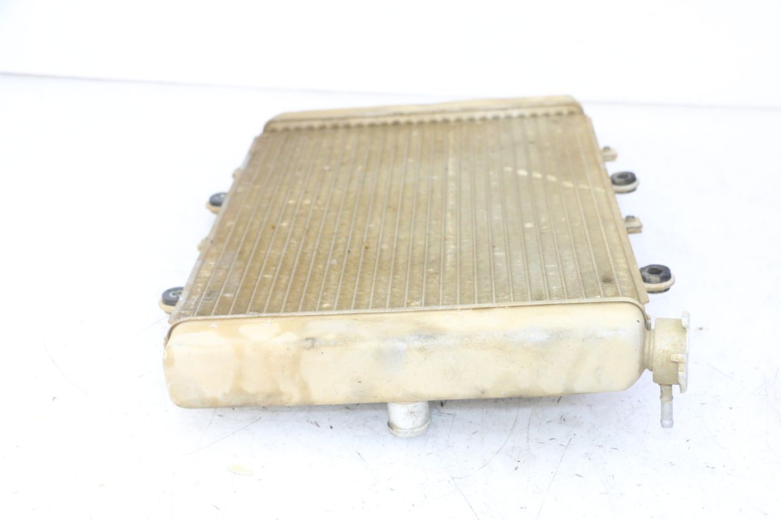 photo de RADIADOR YAMAHA YFM GRIZZLY 550 (2008 - 2015) - Zoom do estado de desgaste
