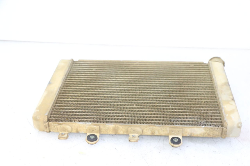 photo de RADIADOR YAMAHA YFM GRIZZLY 550 (2008 - 2015) - Outro ângulo de visão