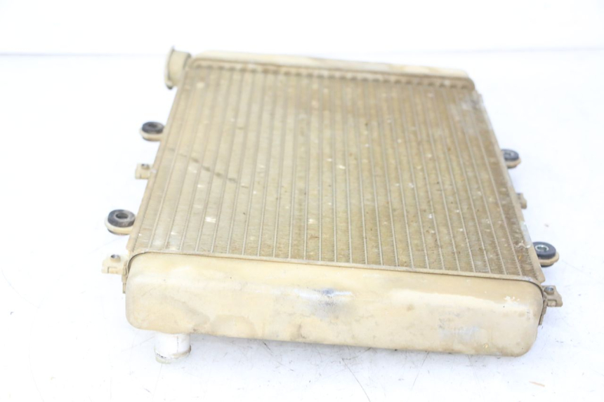 photo de RADIADOR YAMAHA YFM GRIZZLY 550 (2008 - 2015) - Ampliação técnica