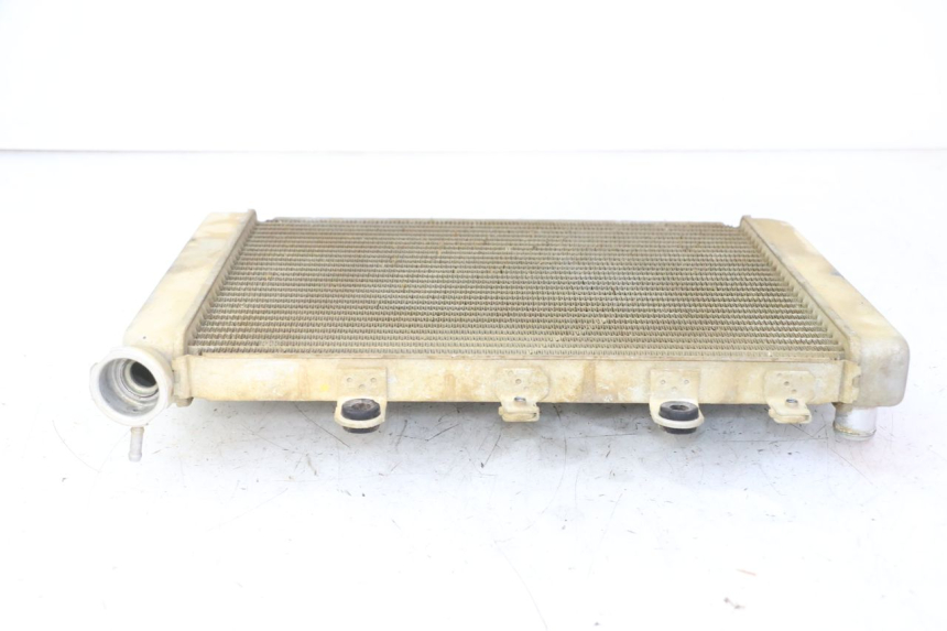 photo de RADIADOR YAMAHA YFM GRIZZLY 550 (2008 - 2015) - Vista geral