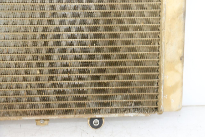 photo de RADIADOR YAMAHA YFM GRIZZLY 550 (2008 - 2015) - Estado da superfície