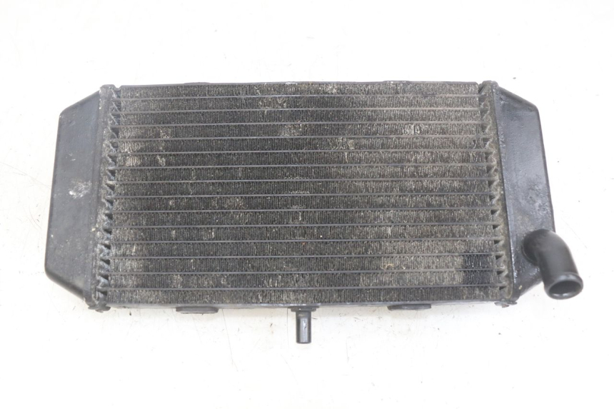 photo de RADIADOR YAMAHA YP MAJESTY 400 (2004 - 2008) - Vista principal