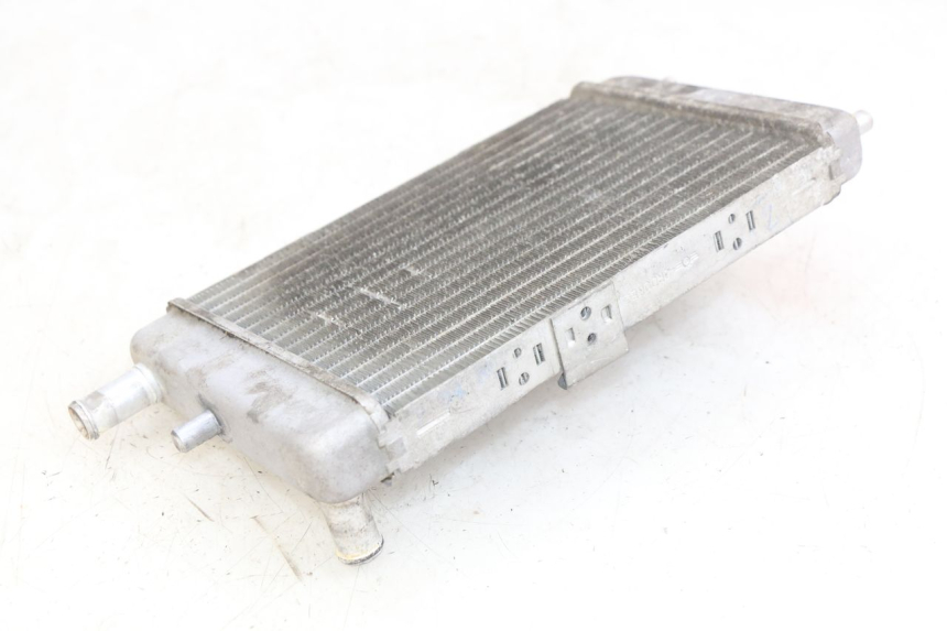 photo de RADIADOR YAMAHA YP MAJESTY 125 (1998 - 2001) - Zoom do estado de desgaste
