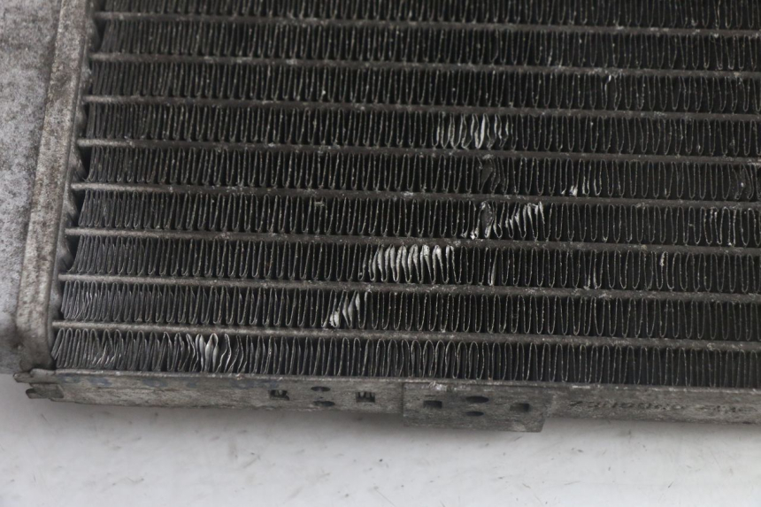 photo de RADIADOR YAMAHA YP MAJESTY 125 (1998 - 2001) - Detalhe da peça