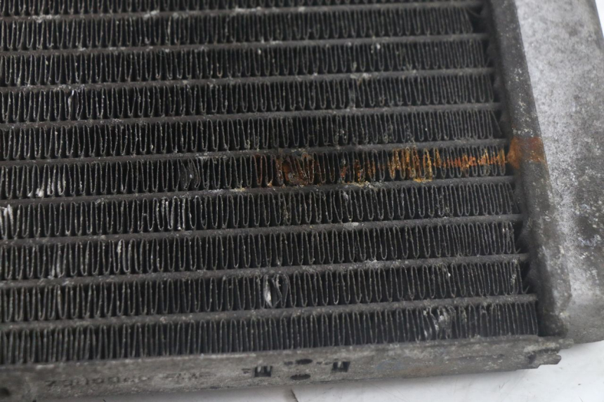 photo de RADIADOR YAMAHA YP MAJESTY 125 (1998 - 2001) - Zoom do estado de desgaste