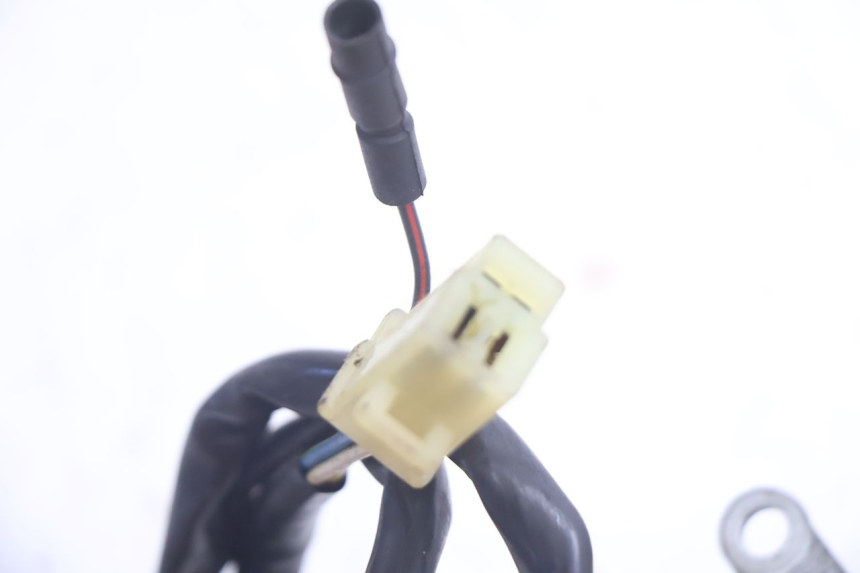 photo de ROTOR ESTATOR PEUGEOT BUXY 50 (1993 - 1998) - Detalhes característicos