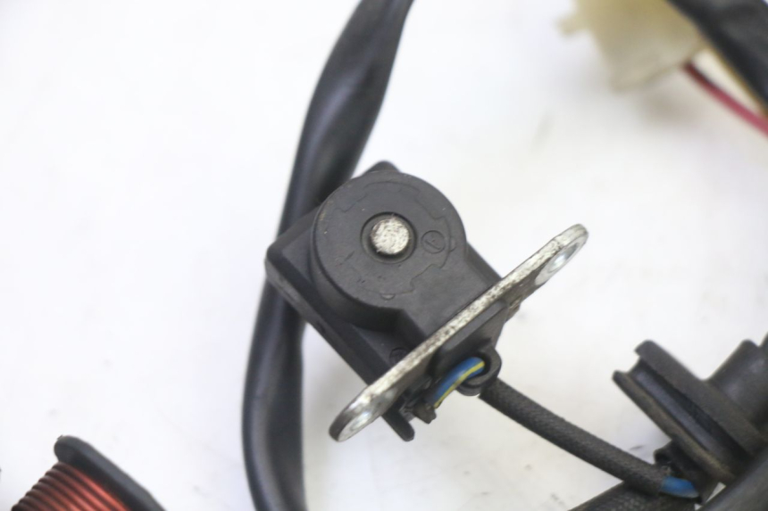 photo de ROTOR ESTATOR ORCAL CAVARO 4T 50 (2019 - 2023) - Vista geral