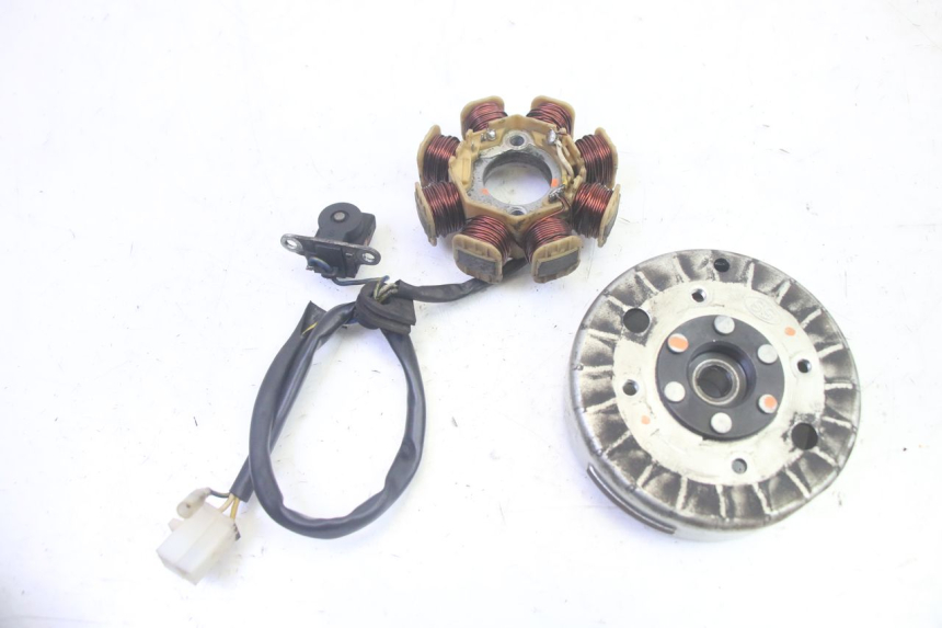 photo de ROTOR ESTATOR LONGJIA DIGITA 4T 50 (2019 - 2022) - Vista principal