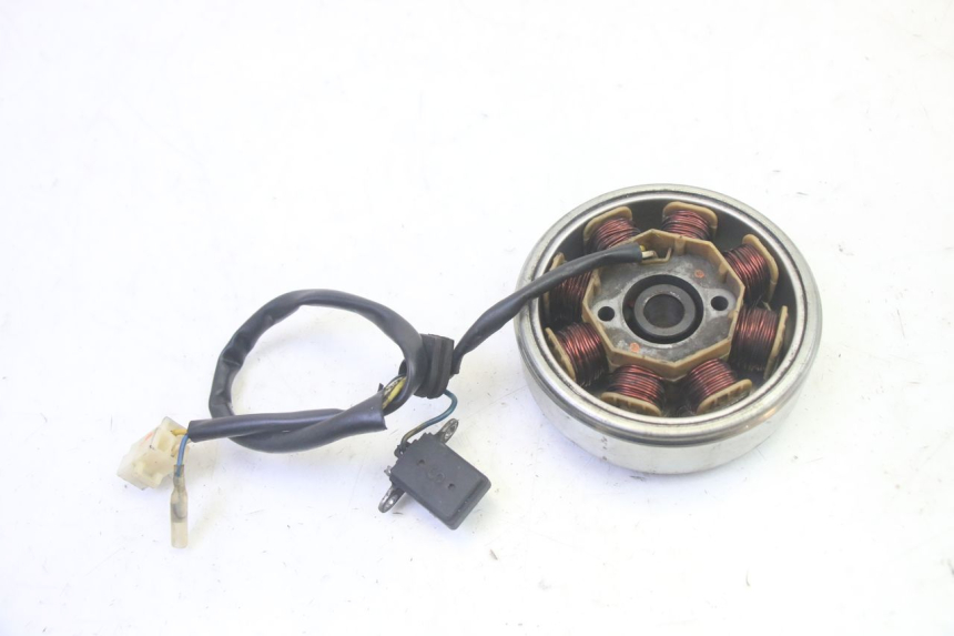 photo de ROTOR ESTATOR LONGJIA DIGITA 4T 50 (2019 - 2022) - Outro ângulo de visão