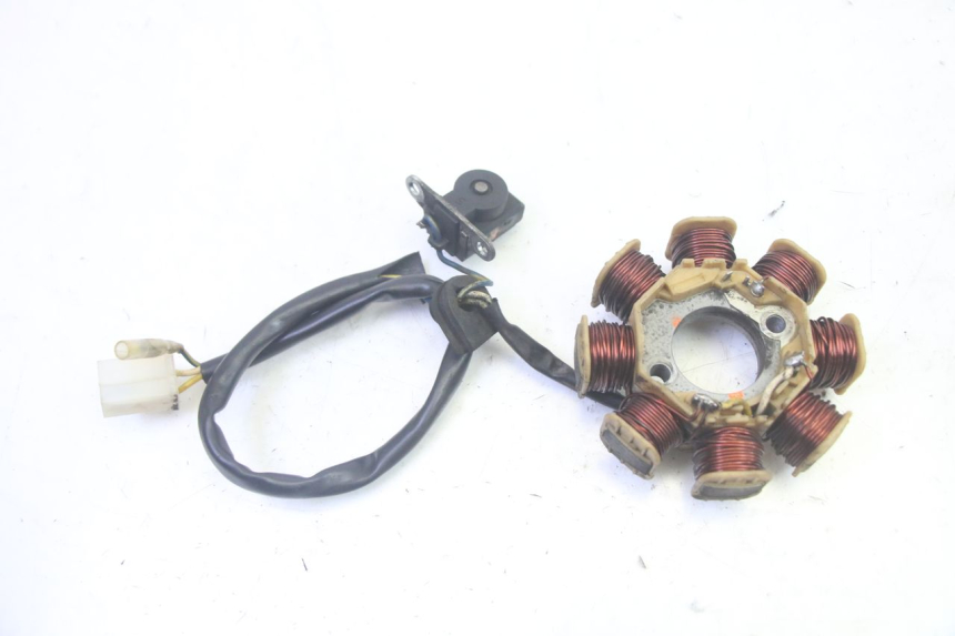 photo de ROTOR ESTATOR LONGJIA DIGITA 4T 50 (2019 - 2022) - Vista geral