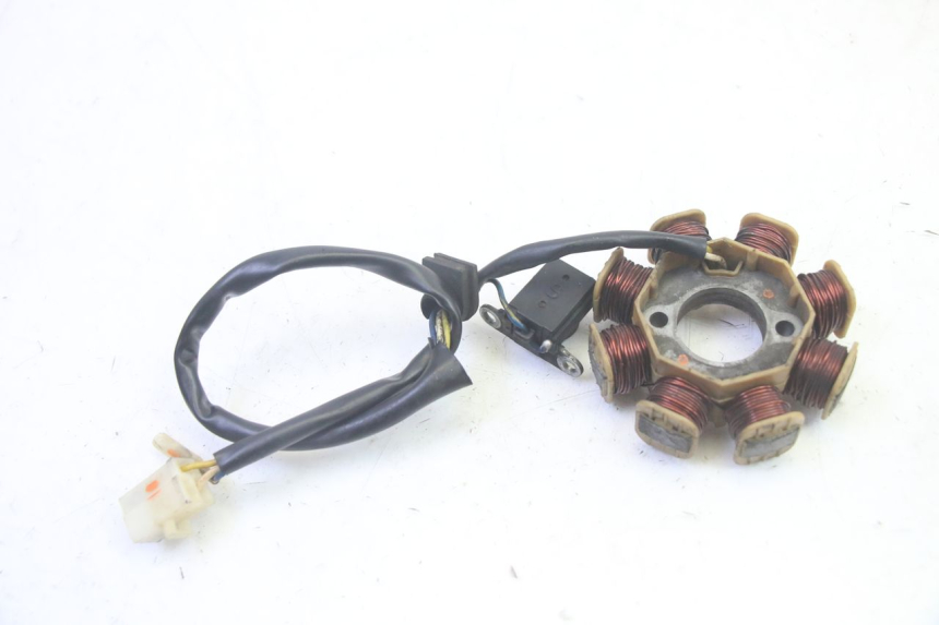 photo de ROTOR ESTATOR LONGJIA DIGITA 4T 50 (2019 - 2022) - Estado da superfície