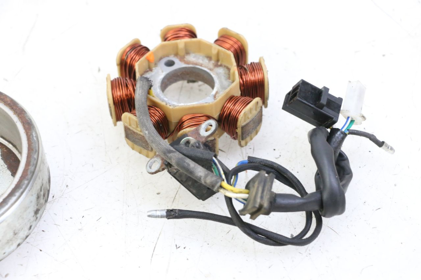 photo de ROTOR ESTATOR JM MOTORS EVOLIS 4T 50 (2018 - 2022) - Ampliação técnica