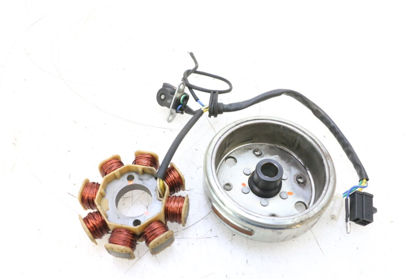 photo de ROTOR ESTATOR JM MOTORS EVOLIS 4T 50 (2018 - 2022) - Detalhe da peça