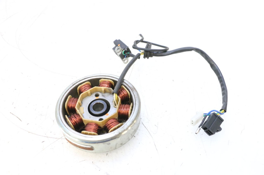 photo de ROTOR ESTATOR JM MOTORS EVOLIS 4T 50 (2018 - 2022) - Outro ângulo de visão