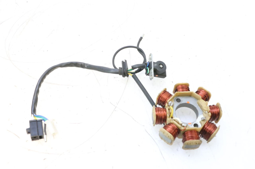 photo de ROTOR ESTATOR JM MOTORS EVOLIS 4T 50 (2018 - 2022) - Ampliação técnica