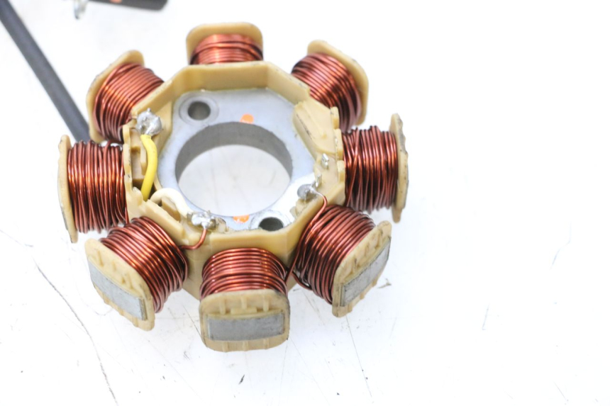 photo de ROTOR ESTATOR JM MOTORS EVOLIS 4T 50 (2018 - 2022) - Vista geral
