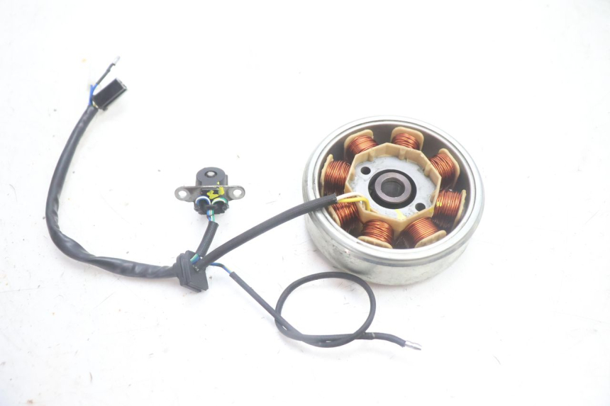 photo de ROTOR ESTATOR JM MOTORS EVOLIS 4T 50 (2018 - 2022) - Zoom do estado de desgaste