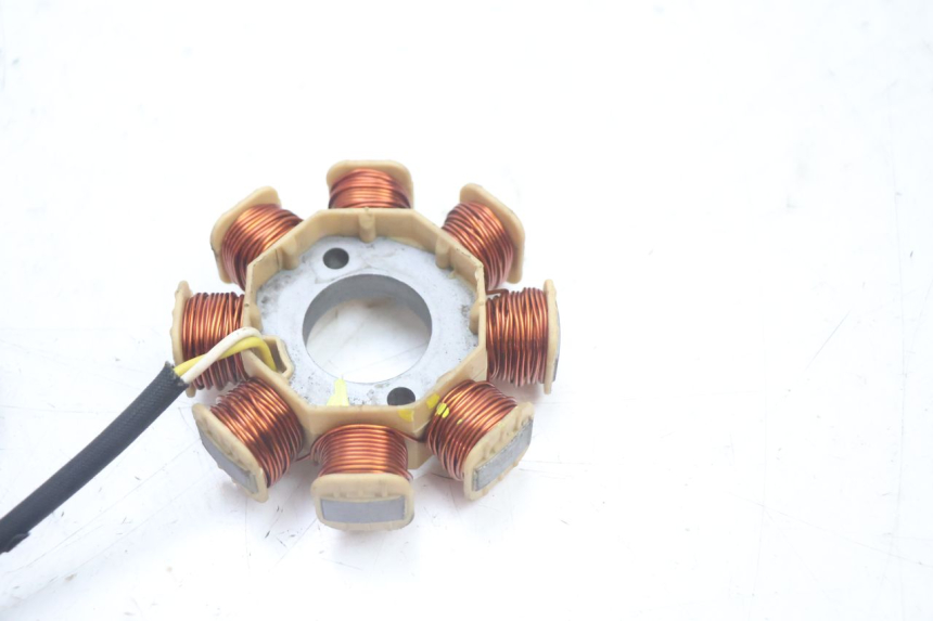 photo de ROTOR ESTATOR JM MOTORS EVOLIS 4T 50 (2018 - 2022) - Ampliação técnica