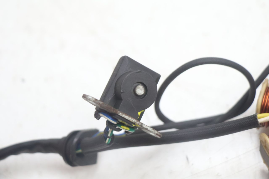 photo de ROTOR ESTATOR JM MOTORS EVOLIS 4T 50 (2018 - 2022) - Vista geral