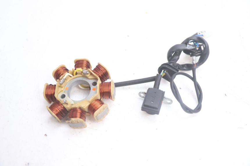 photo de ROTOR ESTATOR JM MOTORS EVOLIS 4T 50 (2018 - 2022) - Vista do produto