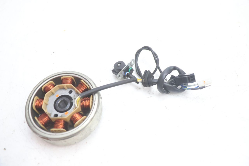 photo de ROTOR ESTATOR JM MOTORS EVOLIS 4T 50 (2018 - 2022) - Outro ângulo de visão