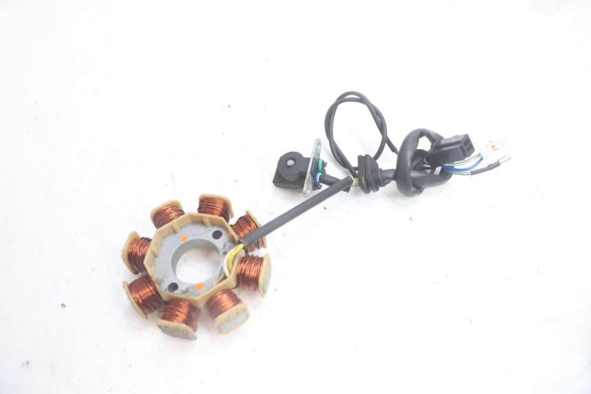 photo de ROTOR ESTATOR JM MOTORS EVOLIS 4T 50 (2018 - 2022) - Pontos de fixação