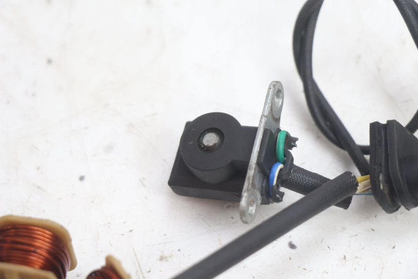photo de ROTOR ESTATOR JM MOTORS EVOLIS 4T 50 (2018 - 2022) - Peça verificada