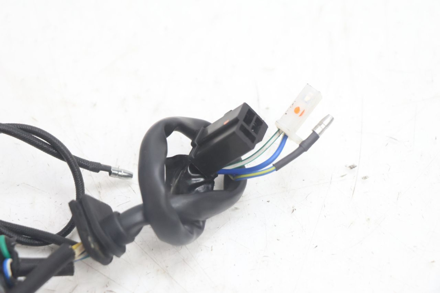 photo de ROTOR ESTATOR JM MOTORS EVOLIS 4T 50 (2018 - 2022) - Marcações e referências