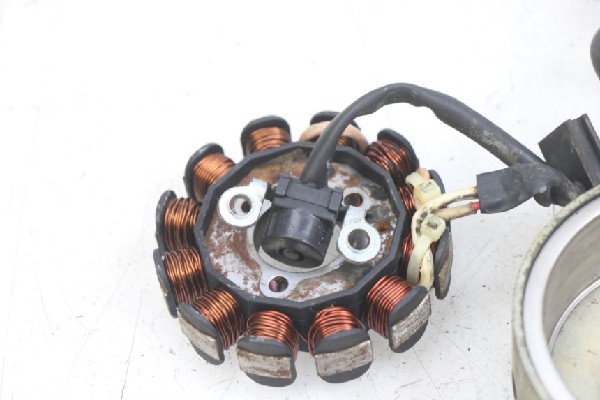 photo de ROTOR ESTATOR TNT MOTOR FASTINO 4T 50 (2013 - 2019) - Ampliação técnica